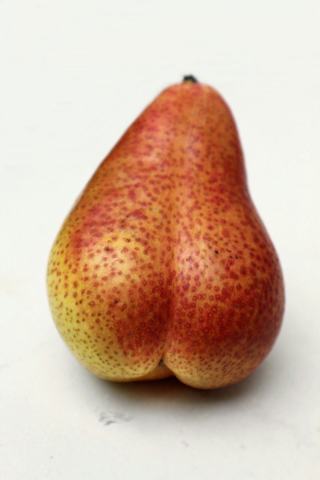 نتيجة غرسات الأرداف في باريس